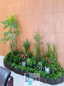 浙江企业大厅绿植组合摆放